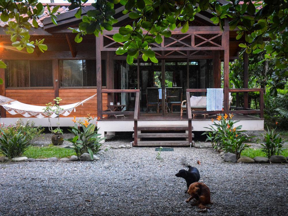 Kenaki Lodge Puerto Viejo de Talamanca Exterior foto